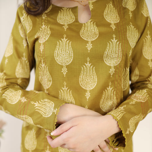 LIGHT GREEN CO-ORD 2 PCS READY TO WEAR SET SUMMER PRET 2024 (S-24005)